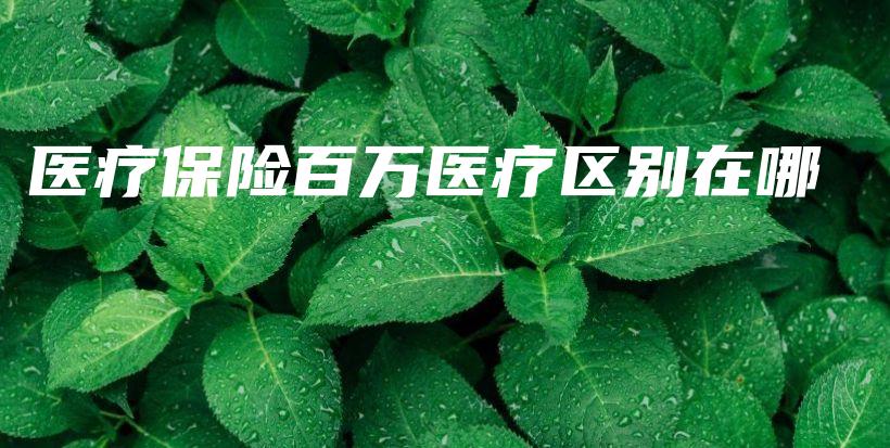 医疗保险百万医疗区别在哪-保点通