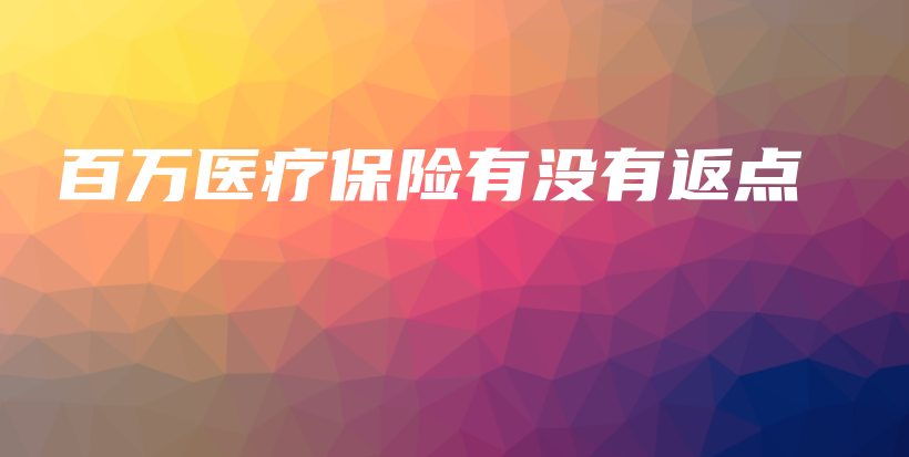 百万医疗保险有没有返点-保点通