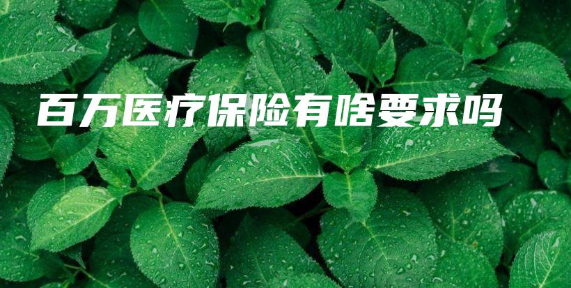 百万医疗保险有啥要求吗-保点通