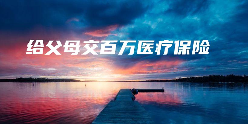 给父母交百万医疗保险-保点通