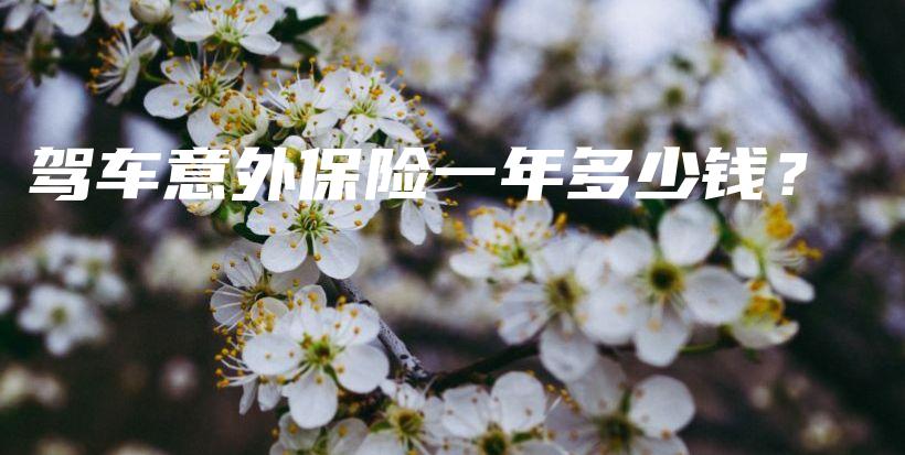 驾车意外保险一年多少钱？-保点通