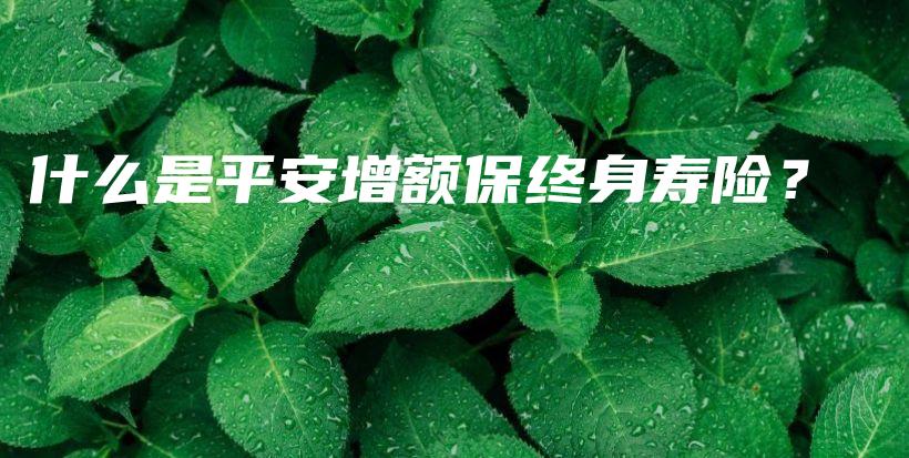 什么是平安增额保终身寿险？-保点通