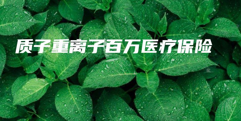 质子重离子百万医疗保险-保点通