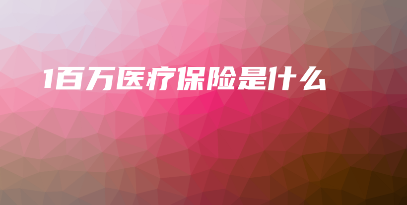 1百万医疗保险是什么-保点通