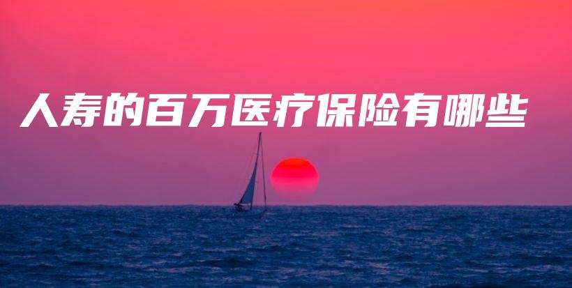 人寿的百万医疗保险有哪些-保点通