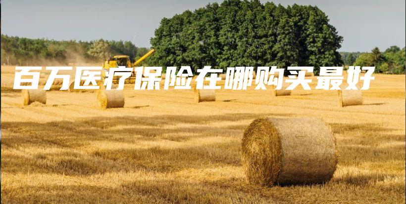 百万医疗保险在哪购买最好-保点通