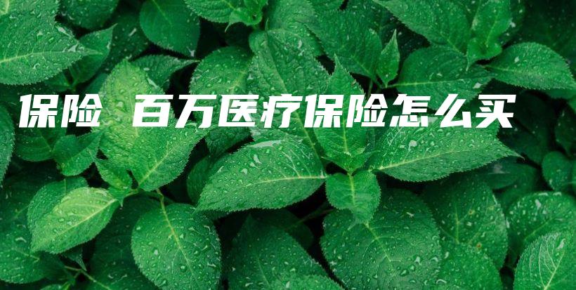 保险 百万医疗保险怎么买-保点通