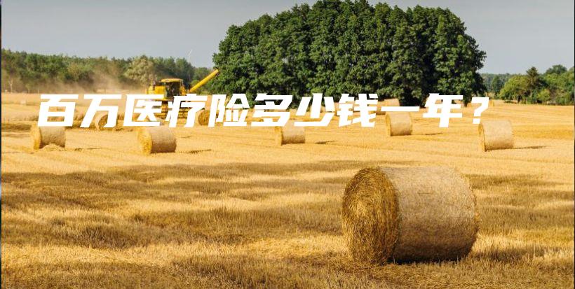 百万医疗险多少钱一年？-保点通