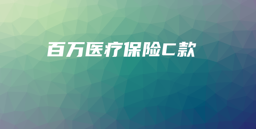 百万医疗保险C款-保点通