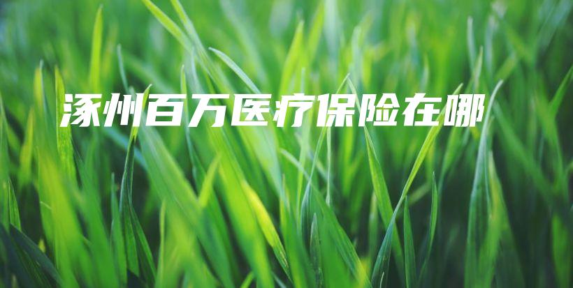 涿州百万医疗保险在哪-保点通