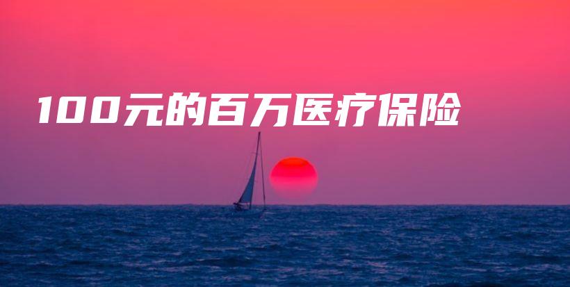 100元的百万医疗保险-保点通