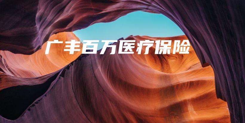 广丰百万医疗保险-保点通