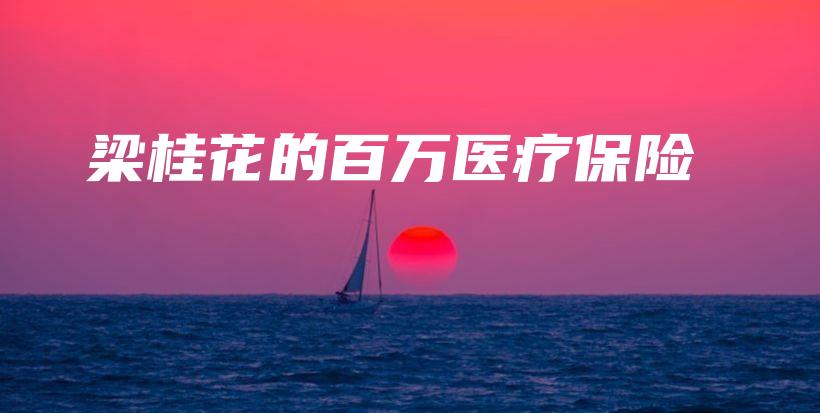 梁桂花的百万医疗保险-保点通