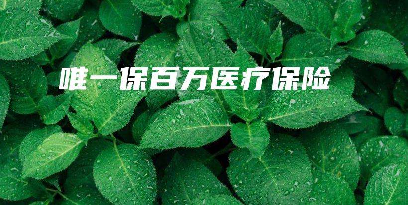 唯一保百万医疗保险-保点通