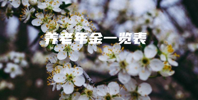 养老年金一览表-保点通