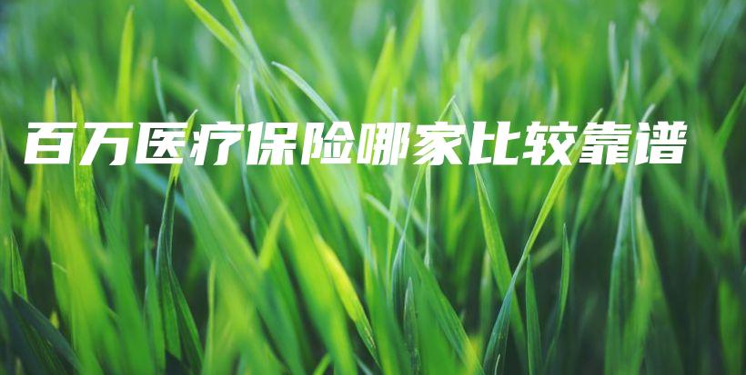 百万医疗保险哪家比较靠谱-保点通