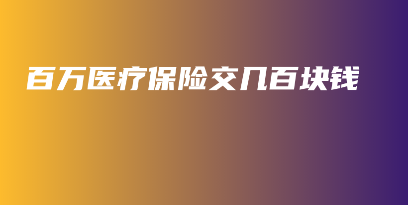 百万医疗保险交几百块钱-保点通