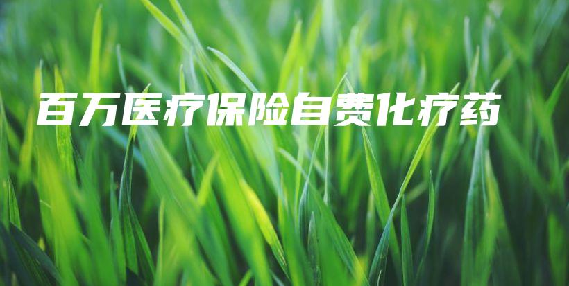 百万医疗保险自费化疗药-保点通