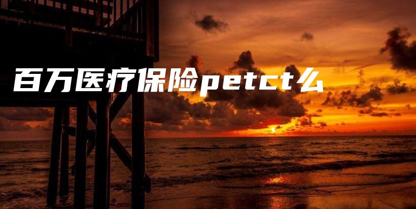 百万医疗保险petct么-保点通