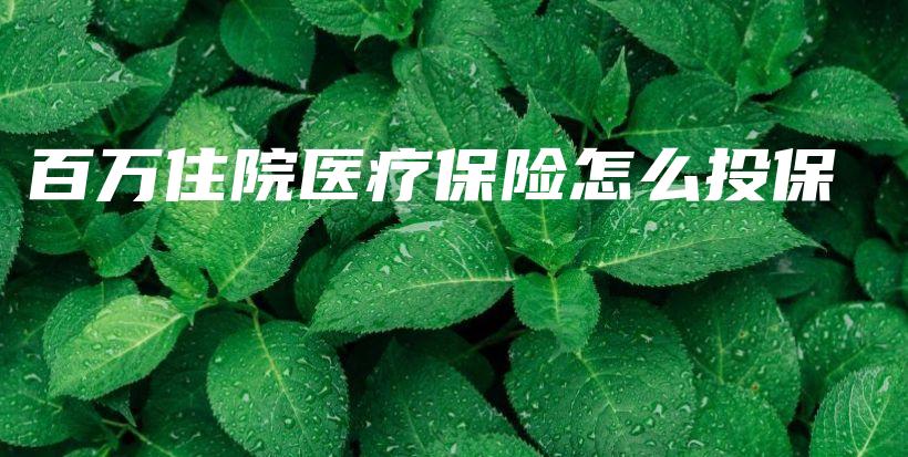 百万住院医疗保险怎么投保-保点通