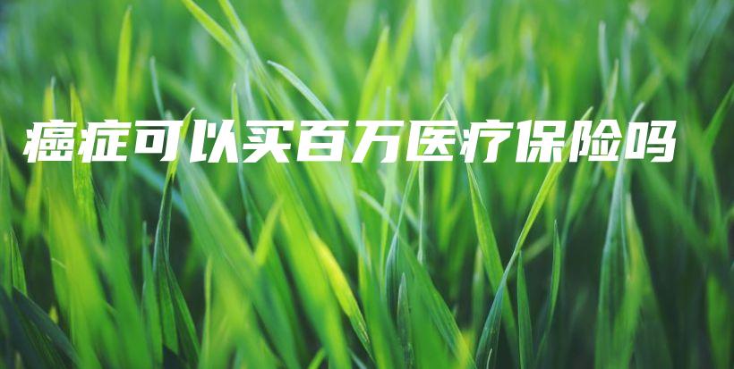 癌症可以买百万医疗保险吗-保点通