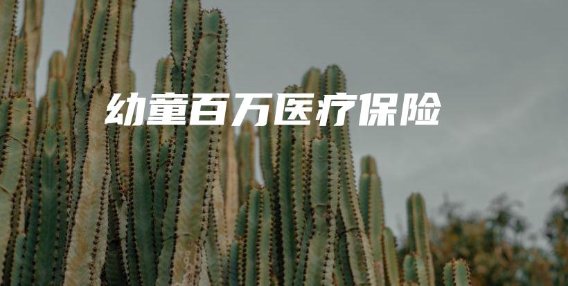 幼童百万医疗保险-保点通