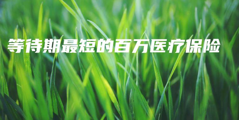 等待期最短的百万医疗保险-保点通