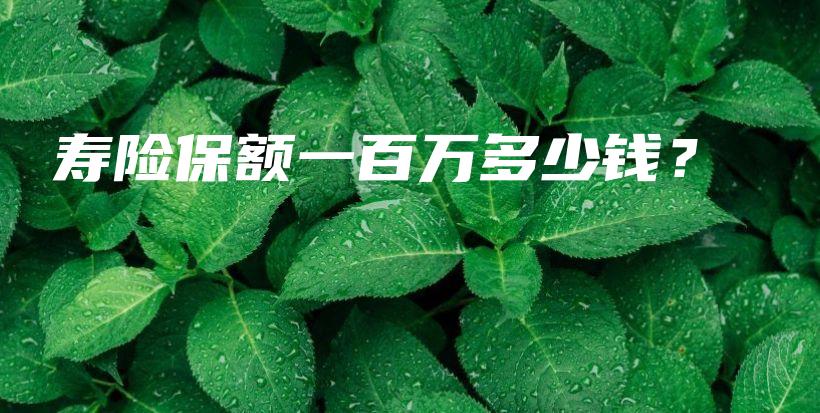寿险保额一百万多少钱？-保点通