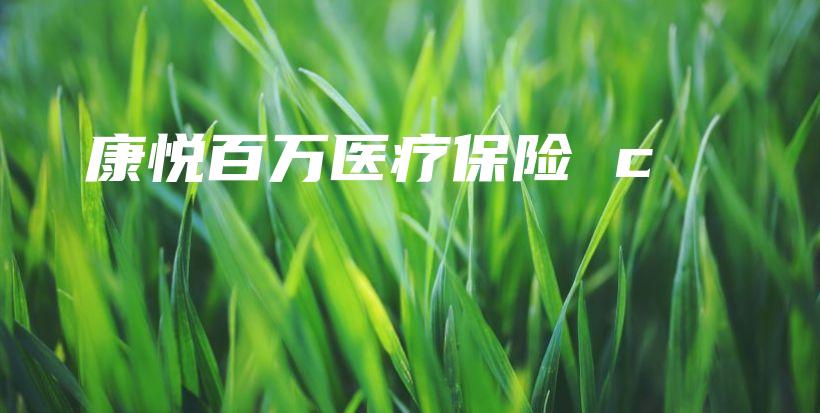 康悦百万医疗保险 c-保点通