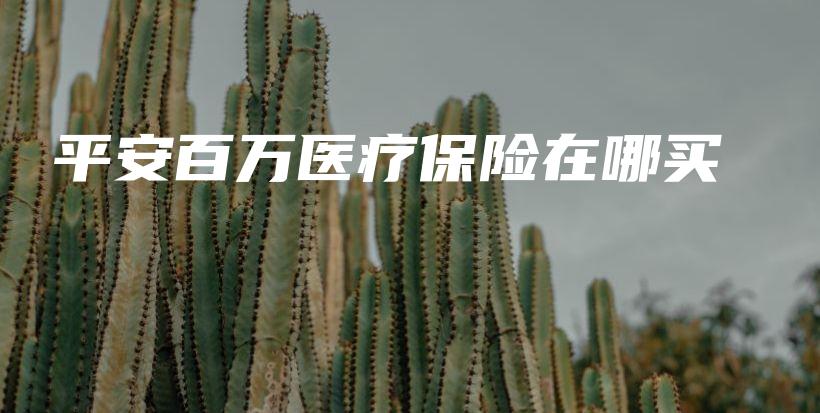 平安百万医疗保险在哪买-保点通