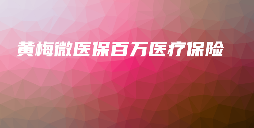 黄梅微医保百万医疗保险-保点通