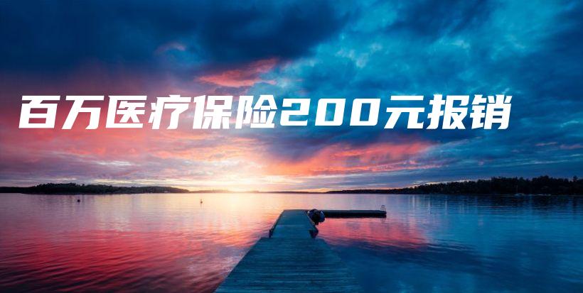 百万医疗保险200元报销-保点通