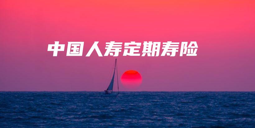 中国人寿定期寿险-保点通