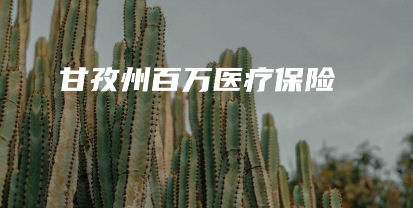 甘孜州百万医疗保险-保点通
