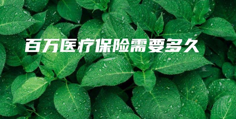 百万医疗保险需要多久-保点通