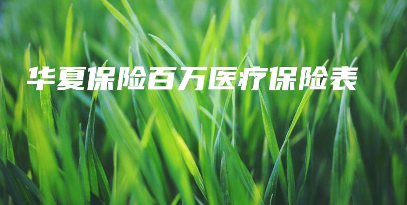 华夏保险百万医疗保险表-保点通