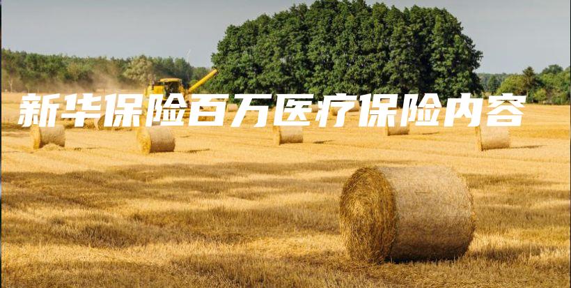新华保险百万医疗保险内容-保点通