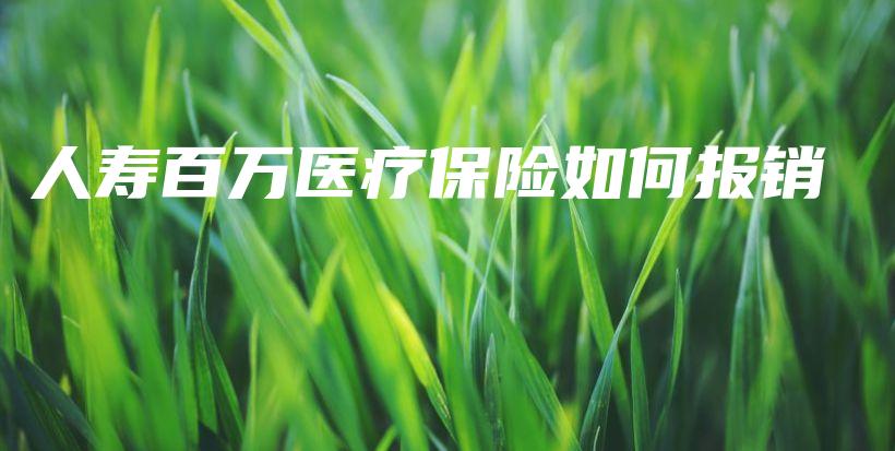 人寿百万医疗保险如何报销-保点通