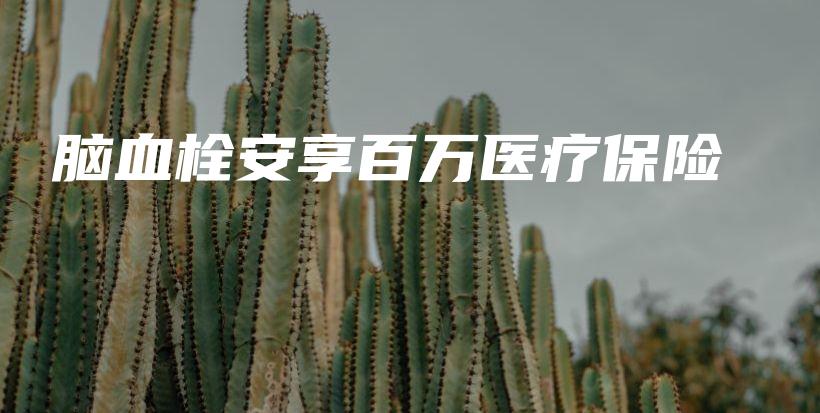脑血栓安享百万医疗保险-保点通