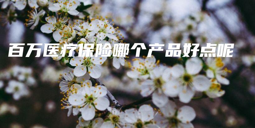 百万医疗保险哪个产品好点呢-保点通