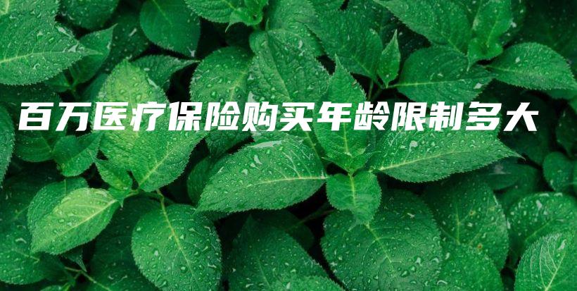 百万医疗保险购买年龄限制多大-保点通