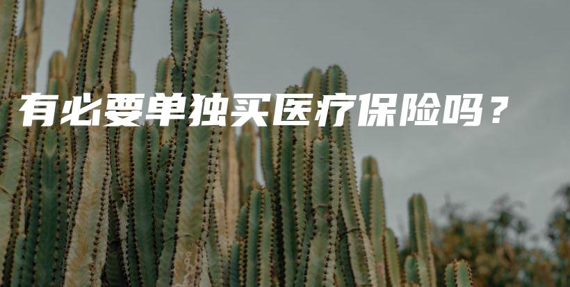 有必要单独买医疗保险吗？-保点通