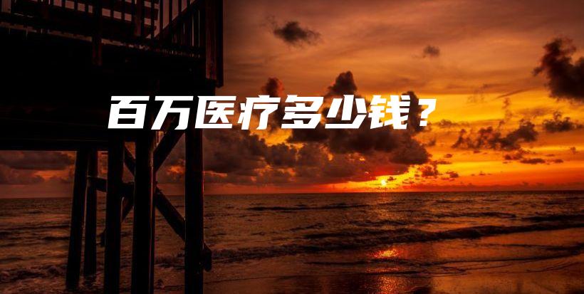 百万医疗多少钱？-保点通