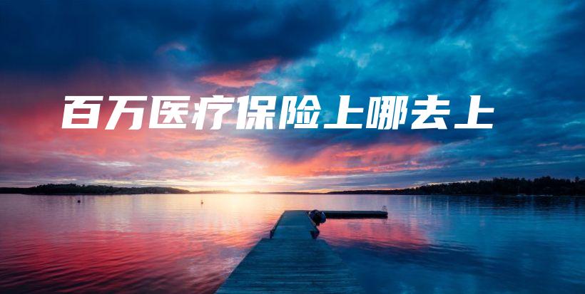 百万医疗保险上哪去上-保点通