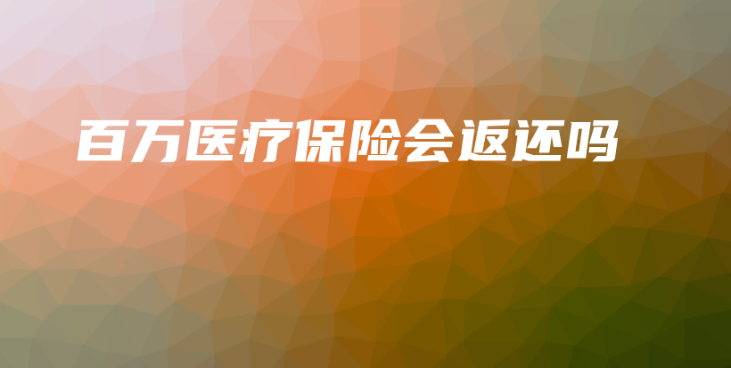 百万医疗保险会返还吗-保点通