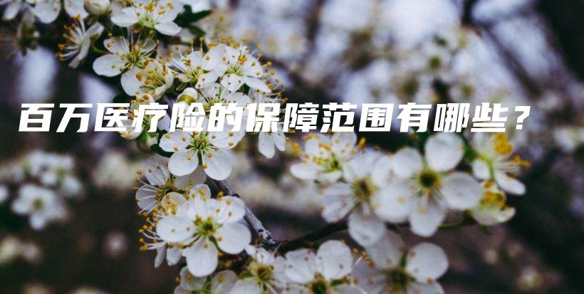 百万医疗险的保障范围有哪些？-保点通