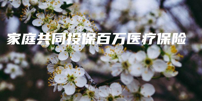 家庭共同投保百万医疗保险-保点通