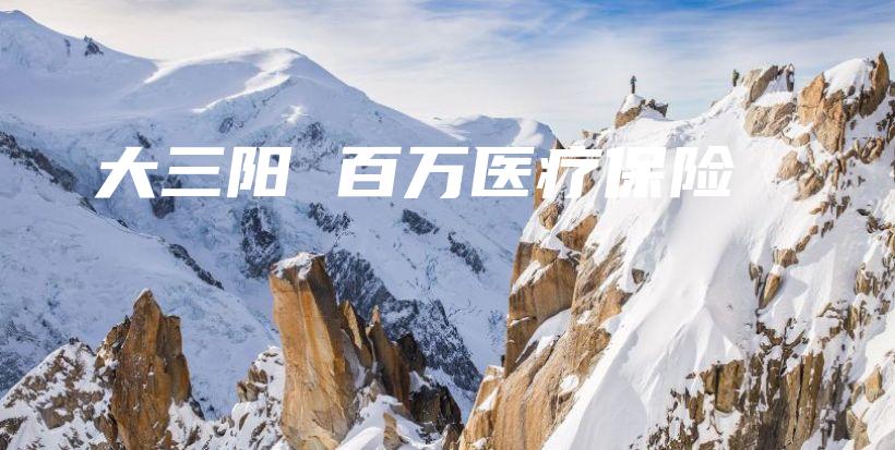 大三阳 百万医疗保险-保点通