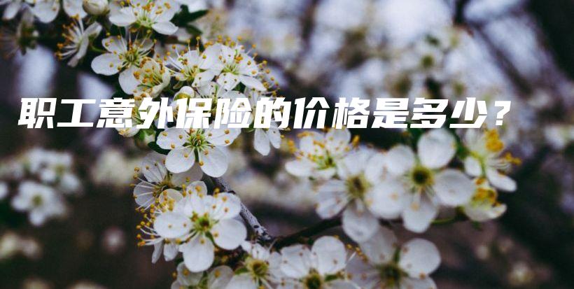 职工意外保险的价格是多少？-保点通
