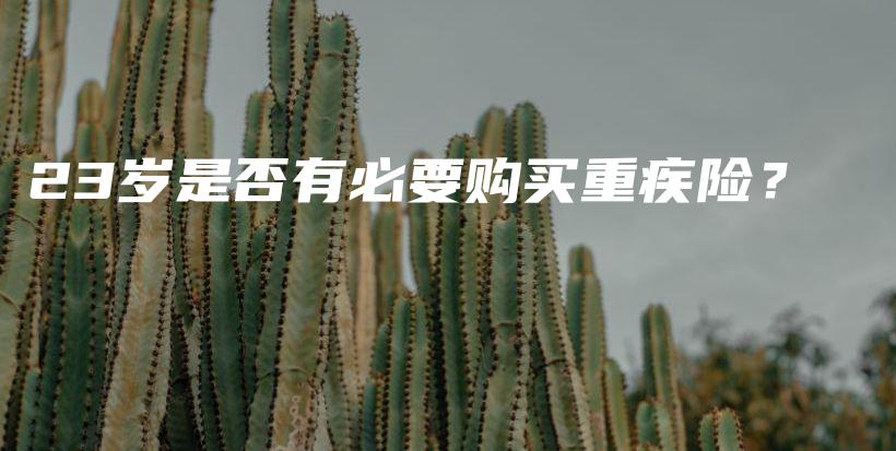 23岁是否有必要购买重疾险？-保点通